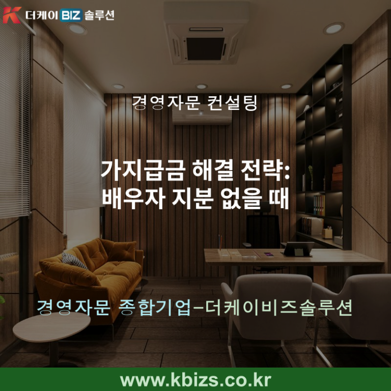 가지급금 해결 전략: 배우자 지분 없을 때