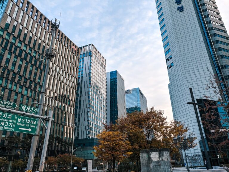 병원 급여계약 네트제와 그로스제 차이점 완벽 분석